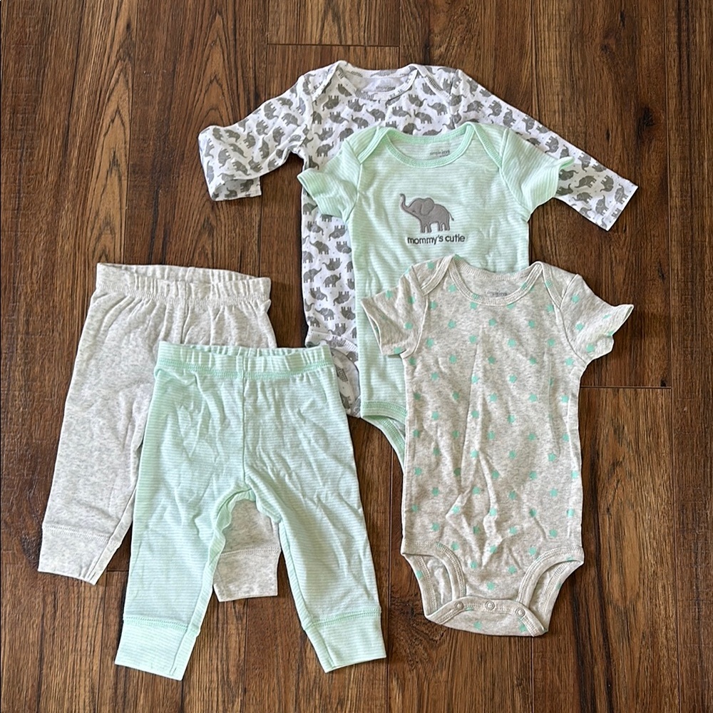Adorable Baby Outfit Set in Mint and Gray